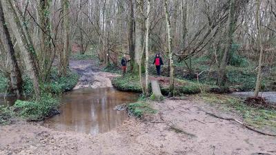 17/03/2024 Marchainville