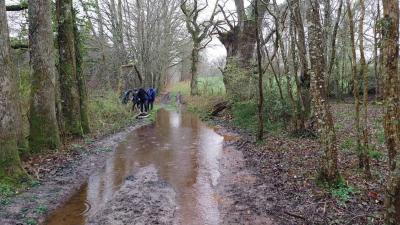 17/03/2024 Marchainville