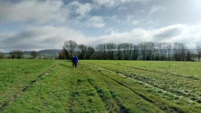 24/03/2024 Brunelles