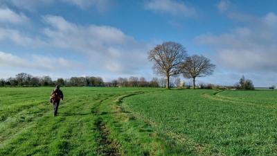 24/03/2024 Brunelles