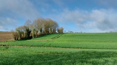 24/03/2024 Brunelles