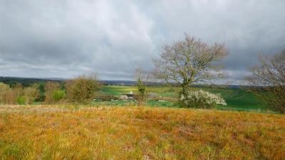 24/03/2024 Brunelles