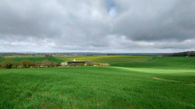 24/03/2024 Brunelles