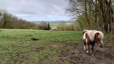 24/03/2024 Brunelles