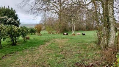 24/03/2024 Brunelles