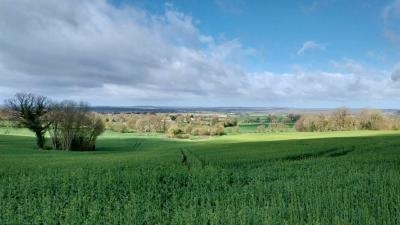 24/03/2024 Brunelles