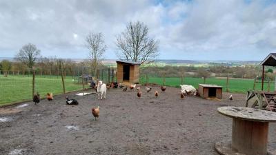 24/03/2024 Brunelles