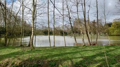 24/03/2024 Brunelles