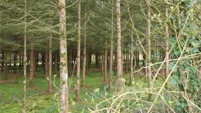 24/03/2024 Brunelles