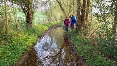 07/04/2024 Malétable