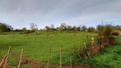 07/04/2024 Malétable