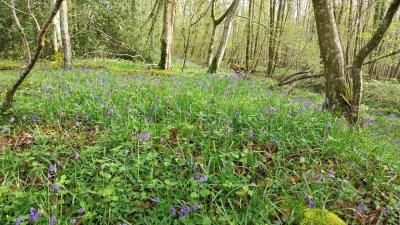 07/04/2024 Malétable