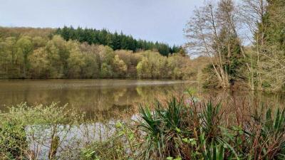 07/04/2024 Malétable