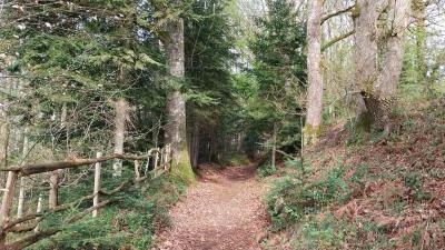 07/04/2024 Malétable