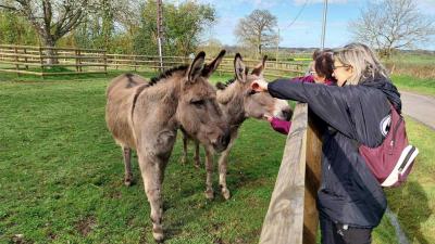 07/04/2024 Malétable