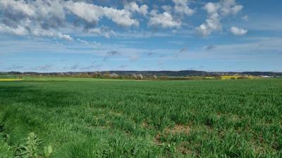 07/04/2024 Malétable