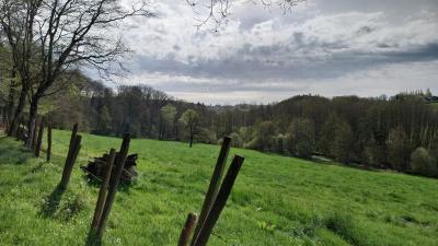 07/04/2024 Malétable