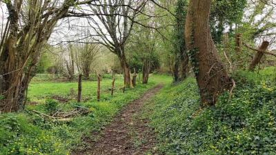 07/04/2024 Malétable