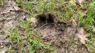 07/04/2024 Malétable