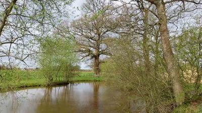 07/04/2024 Malétable