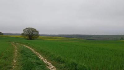 14/04/2024 Longny au Perche