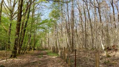 14/04/2024 Longny au Perche