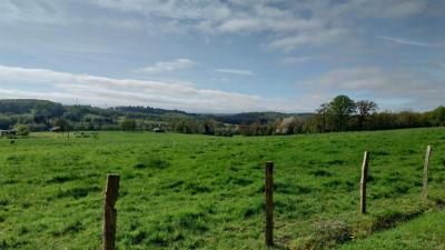 14/04/2024 Longny au Perche