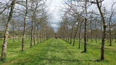 28/04/2024 Ticheville