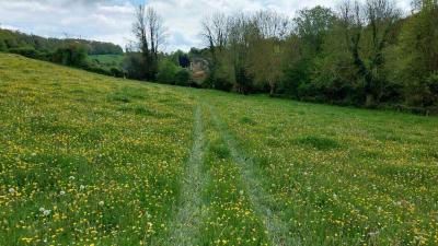 28/04/2024 Ticheville