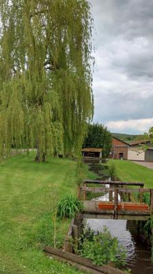 28/04/2024 Ticheville