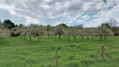 28/04/2024 Ticheville