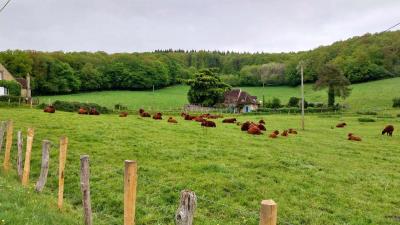 05/05/2024 Bretoncelles