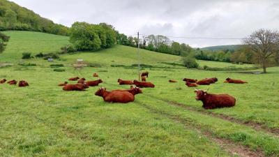 05/05/2024 Bretoncelles