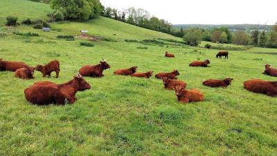 05/05/2024 Bretoncelles