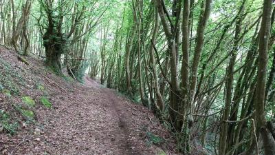 05/05/2024 Bretoncelles