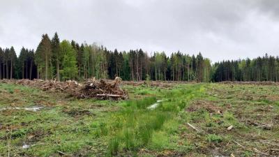 05/05/2024 Bretoncelles