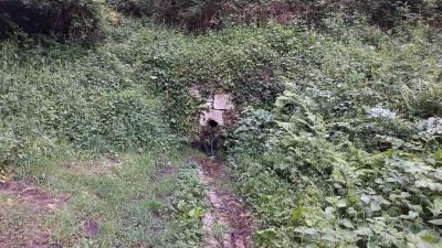 09/05/2024 Ste Suzanne