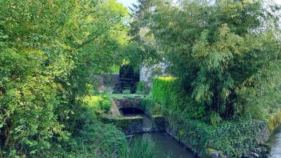 09/05/2024 Ste Suzanne