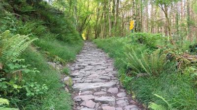 09/05/2024 Ste Suzanne