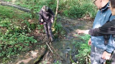 09/05/2024 Ste Suzanne