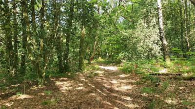 09/05/2024 Ste Suzanne