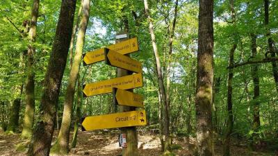 09/05/2024 Ste Suzanne