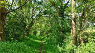 09/05/2024 Ste Suzanne