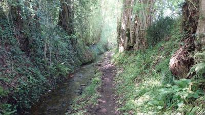 09/05/2024 Ste Suzanne