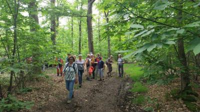 25/05/2024 Nogent - Condé