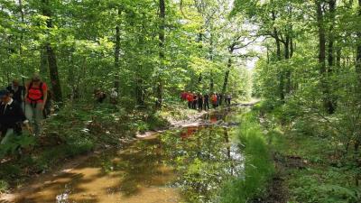 25/05/2024 Nogent - Condé