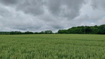 26/05/2024 Miermaigne