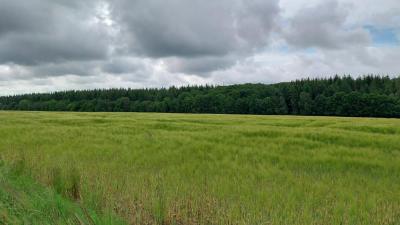 26/05/2024 Miermaigne