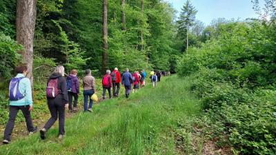 26/05/2024 Miermaigne