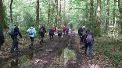 26/05/2024 Miermaigne